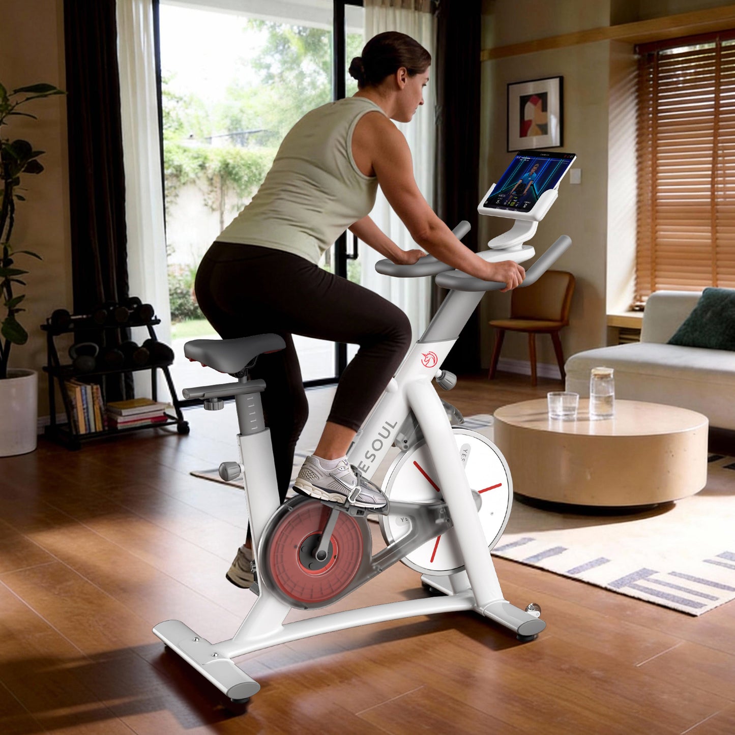 Yesoul S3 Exercise Bike