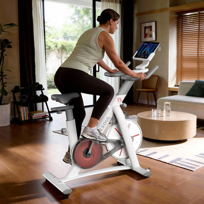 Yesoul S3 Exercise Bike